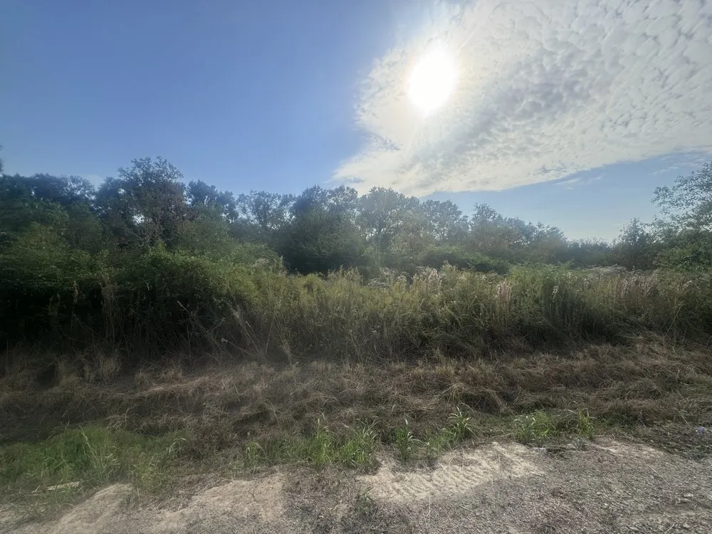 Reliable lawn mowing service in Lafayette, LA by Skid Pro Services