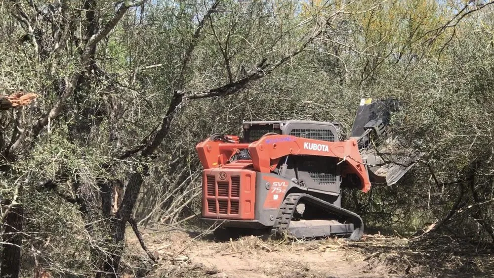 Top-rated landscape design for outdoor upgrades in Goliad, TX by Skid-R-Done