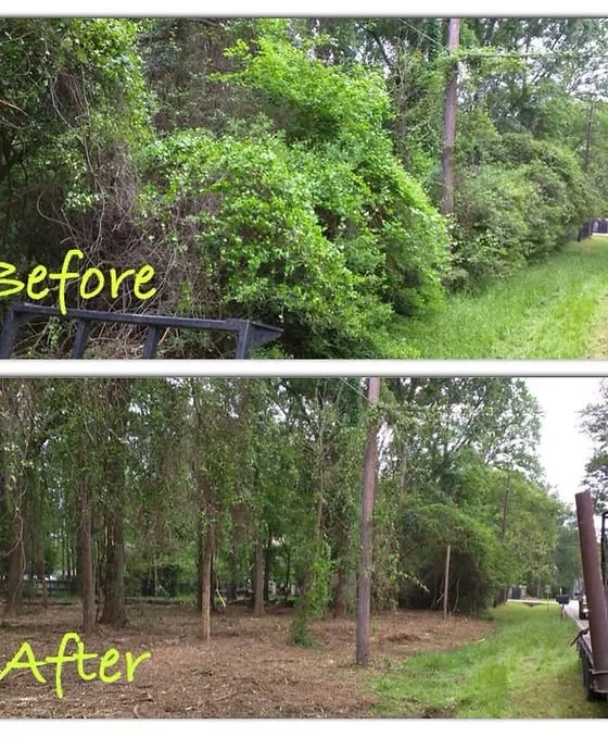 Professional landscape design in Little Rock, AR - Skid Steer For HIre