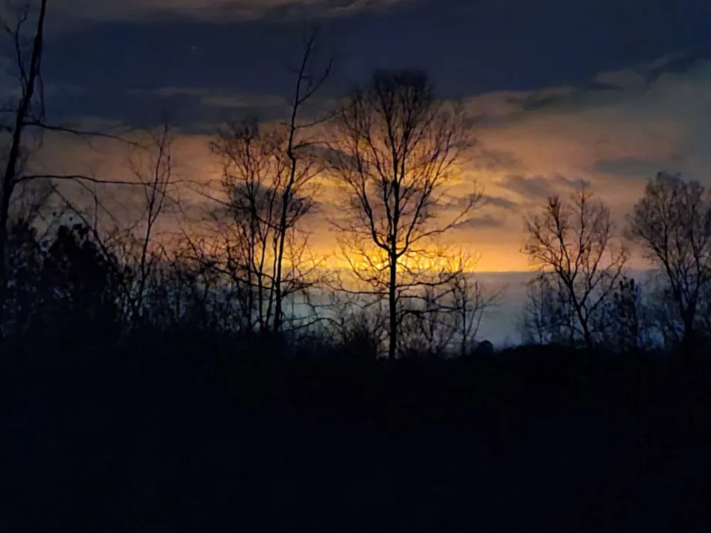 Custom residential landscaping in Fort Valley, GA by Skid Steer Premier