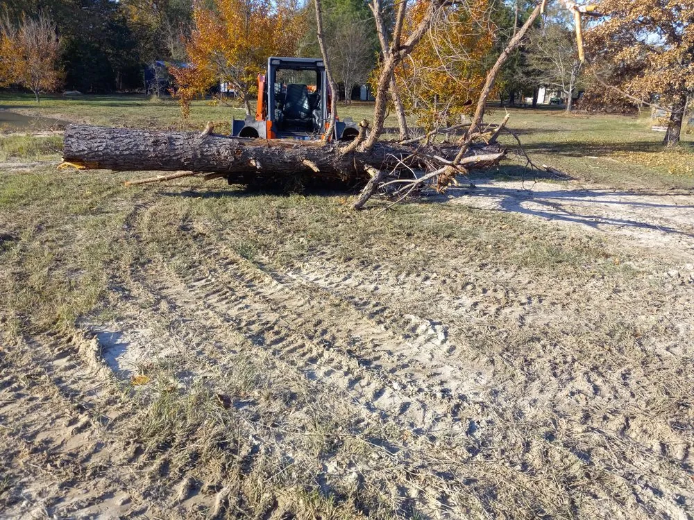 Top-rated yard maintenance experts serving Greenville, TX - Skid Steer Work