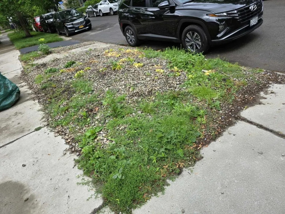 Affordable landscape design for beautiful yards across Lockport, NY - Skidmores Land Care