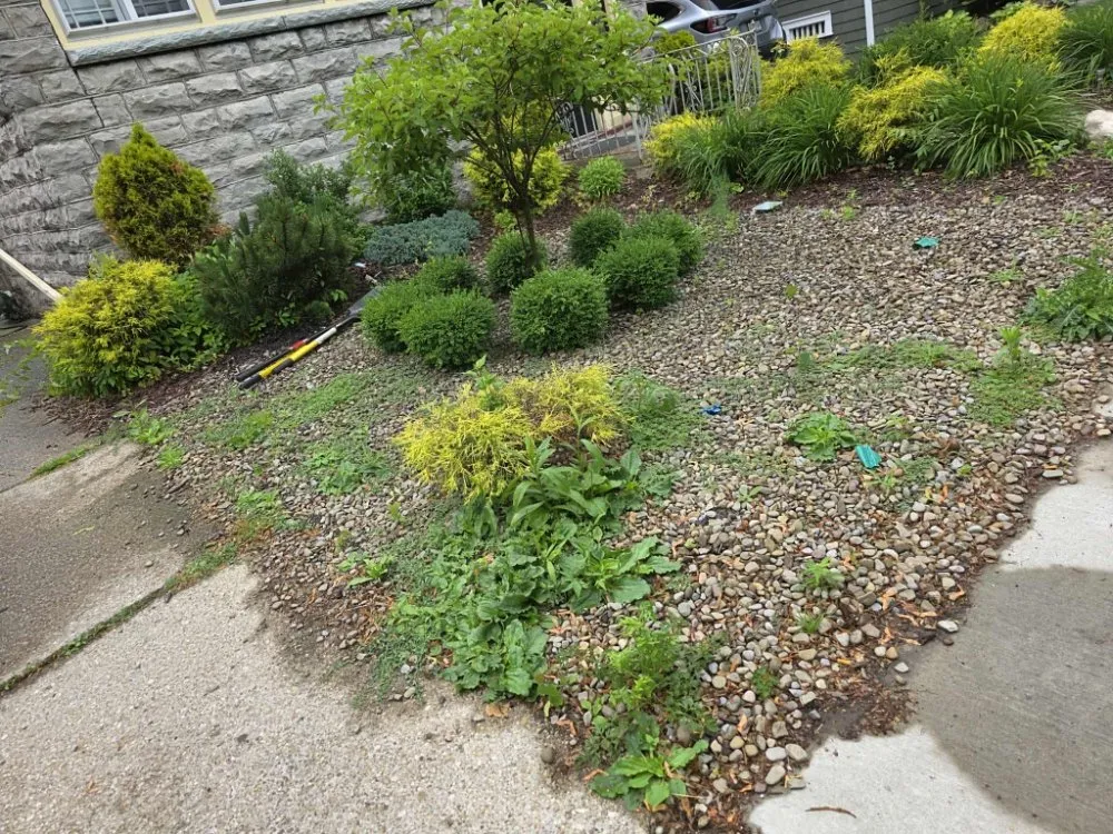 Professional landscaping services in Lockport, NY by Skidmores Land Care