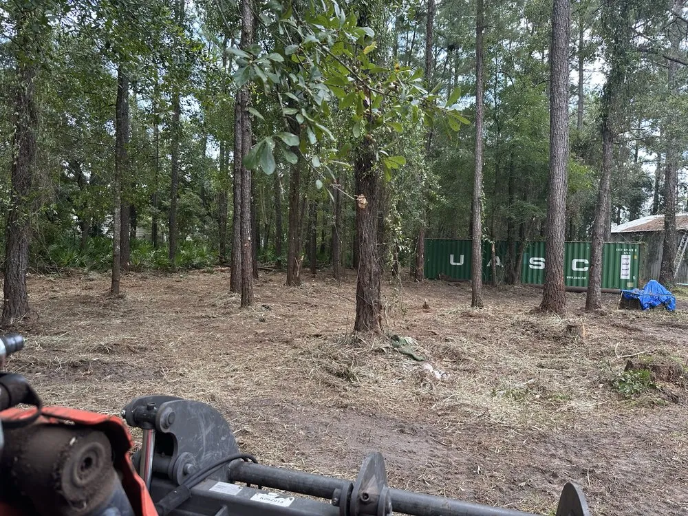 Expert yard cleanup service in Mershon, GA - SkidPro