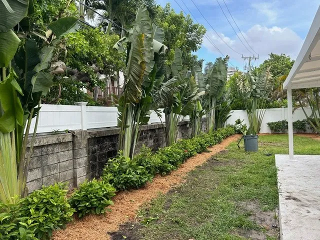 Affordable landscape design in Fort Lauderdale, FL - Skiff and Company