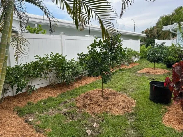 Affordable outdoor landscaping near you in Fort Lauderdale, FL by Skiff and Company