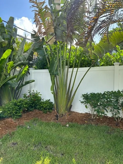 Top-rated lawn care service experts serving Fort Lauderdale, FL - Skiff and Company