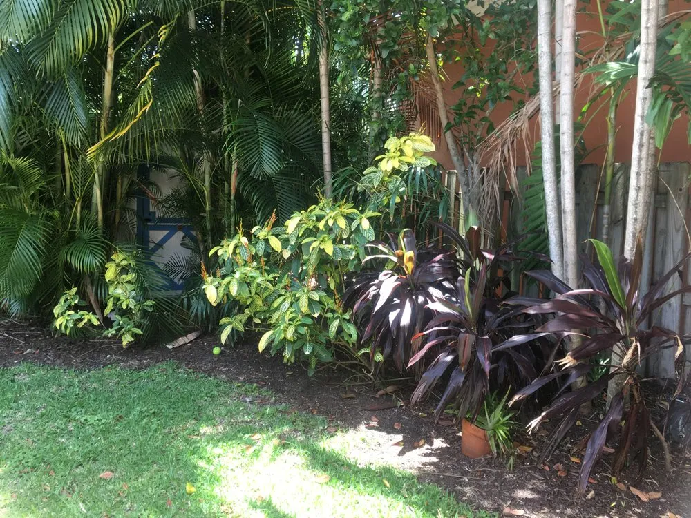 Expert outdoor landscaping experts serving Fort Lauderdale, FL - Skiff and Company
