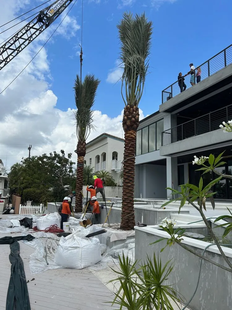 Custom yard maintenance with custom design in Fort Lauderdale, FL by Skiff and Company