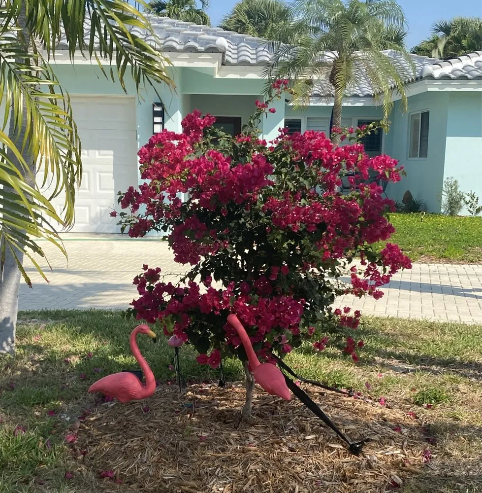 Top-rated yard maintenance in Fort Lauderdale, FL - Skiff and Company