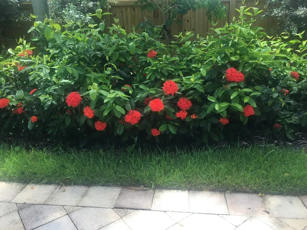 Top-rated outdoor landscaping experts serving Fort Lauderdale, FL - Skiff and Company