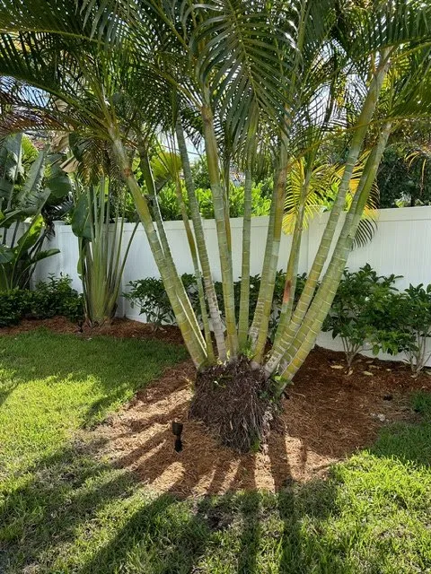 Trusted yard maintenance for beautiful yards across Fort Lauderdale, FL - Skiff and Company