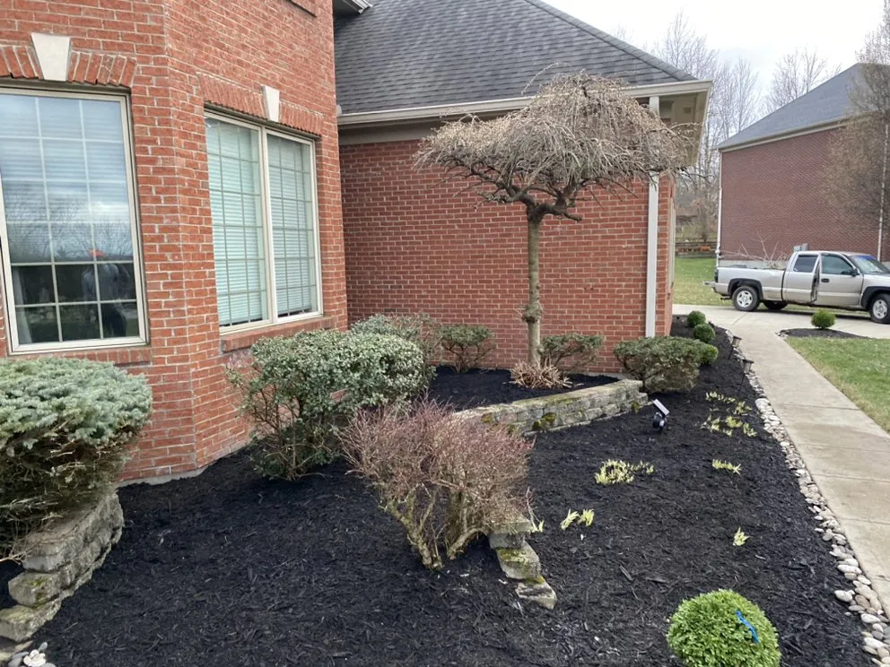 Professional outdoor landscaping in Cincinnati, OH by Skilled Business