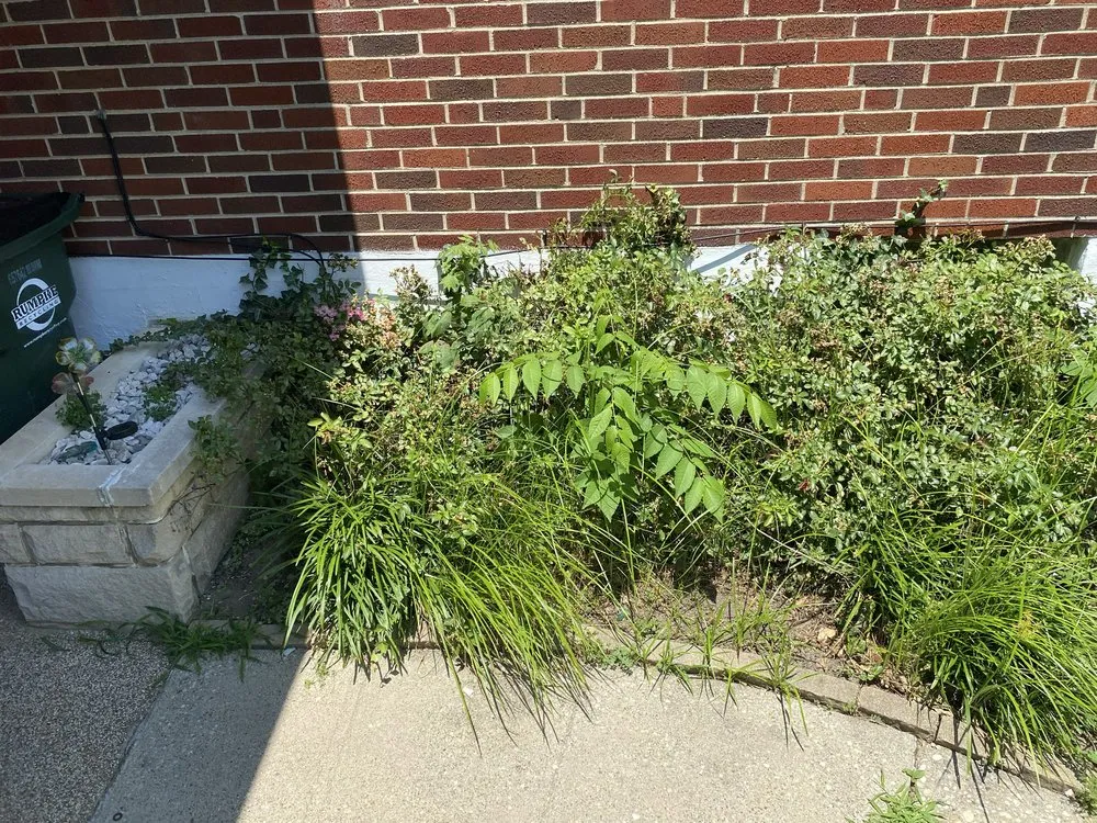 Affordable lawn care service in Cincinnati, OH - Skilled Business