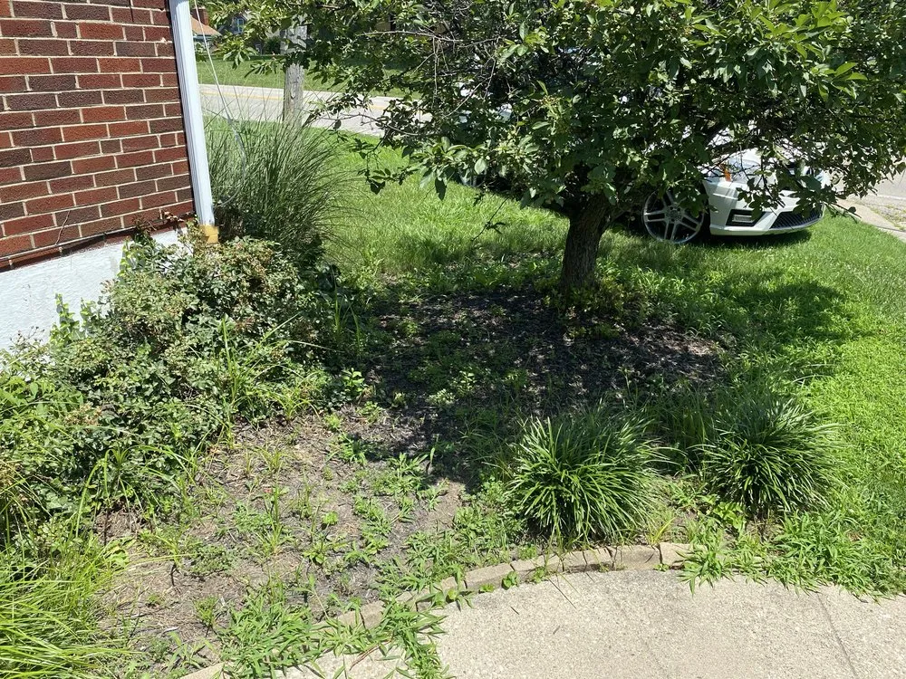 Expert garden landscaping in Cincinnati, OH by Skilled Business