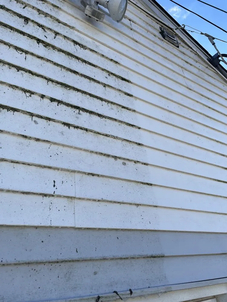 Affordable landscaping services with custom design in Matawan, NJ by Skillful Spaces