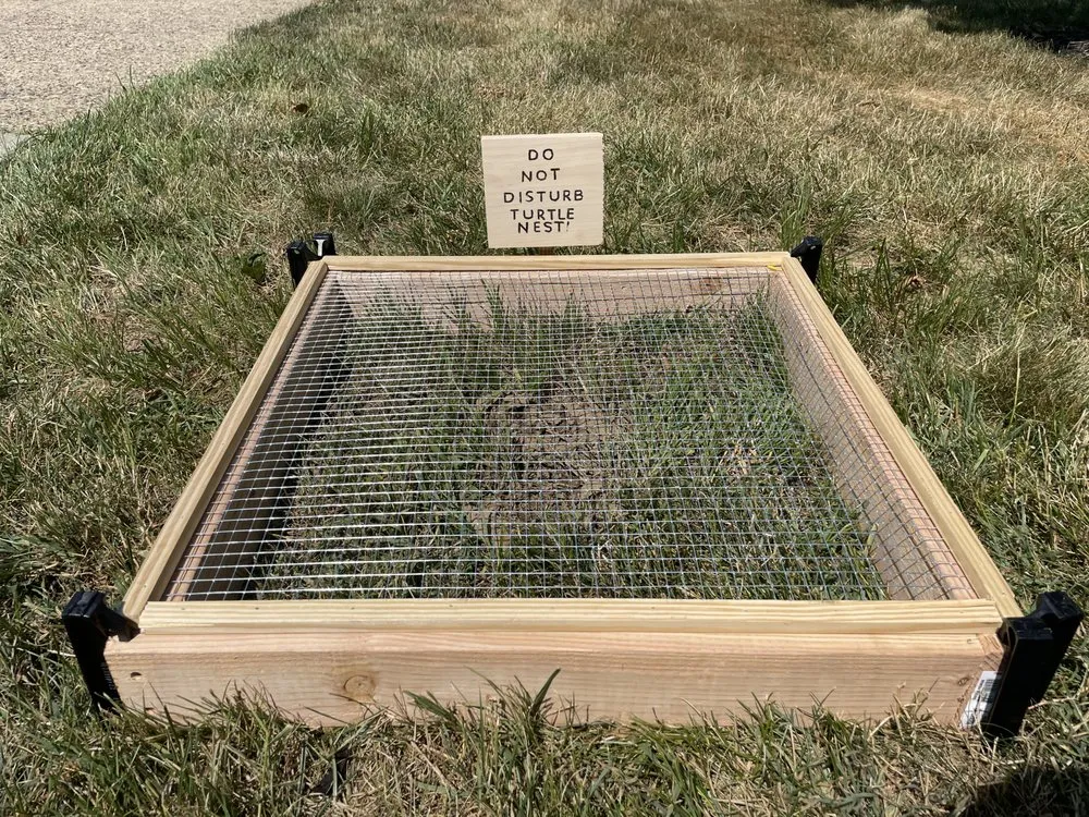 Expert yard maintenance with custom design across Matawan, NJ - Skillful Spaces