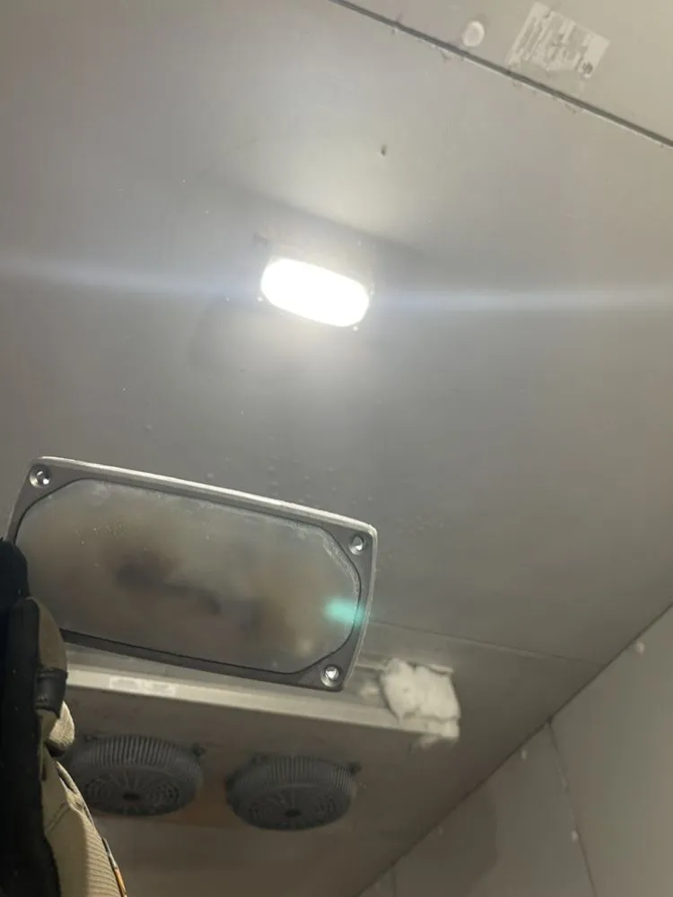 Custom outdoor landscaping in Indianapolis, IN - Skills Unlimited