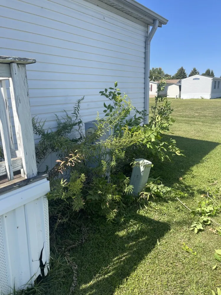 Local landscaping services in Indianapolis, IN by Skills Unlimited