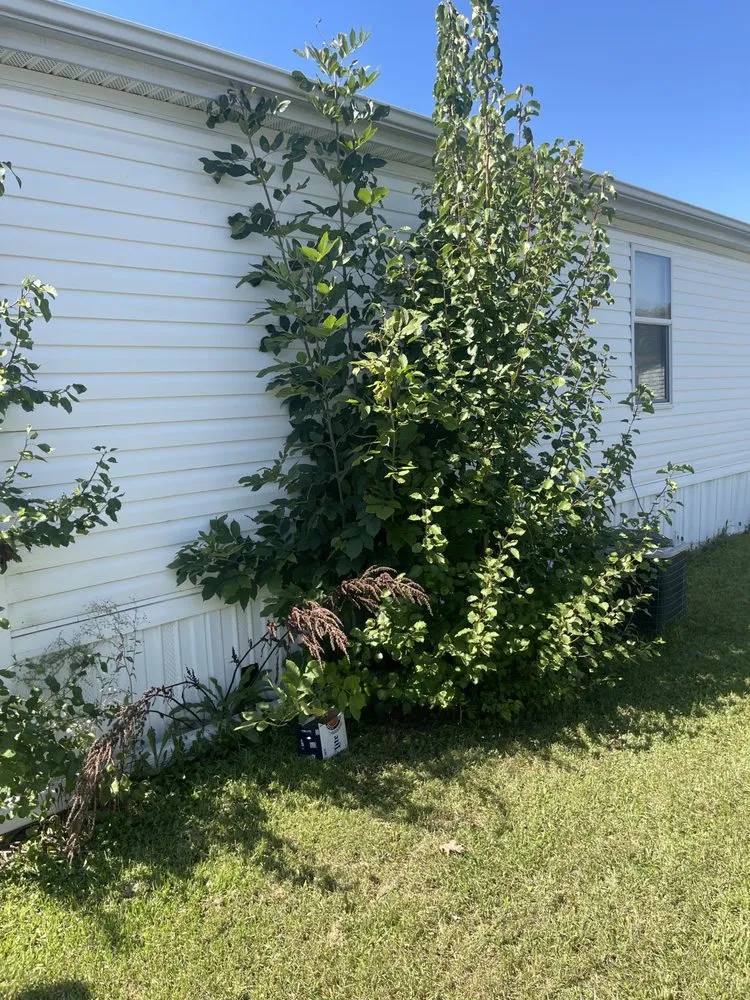 Affordable outdoor landscaping experts serving Indianapolis, IN - Skills Unlimited