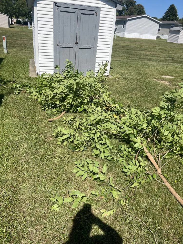 Reliable landscape design in Indianapolis, IN - Skills Unlimited