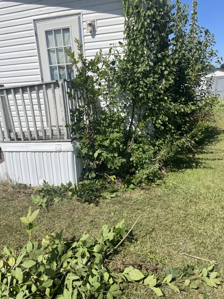 Custom residential landscaping for residential properties across Indianapolis, IN - Skills Unlimited