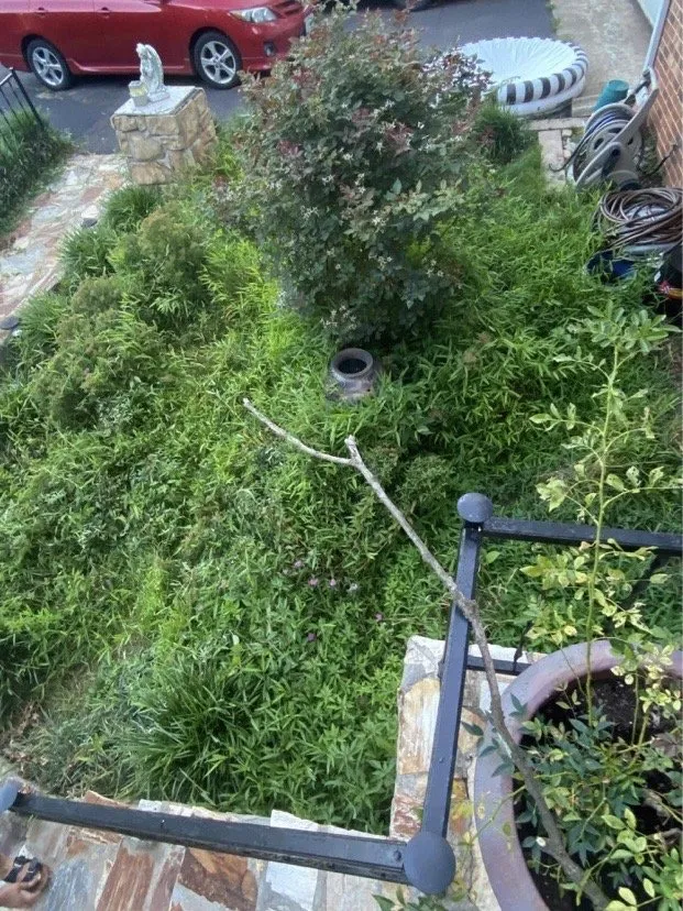 Custom garden landscaping for residential properties in Manassas Park, VA by Skillz Handy Pros