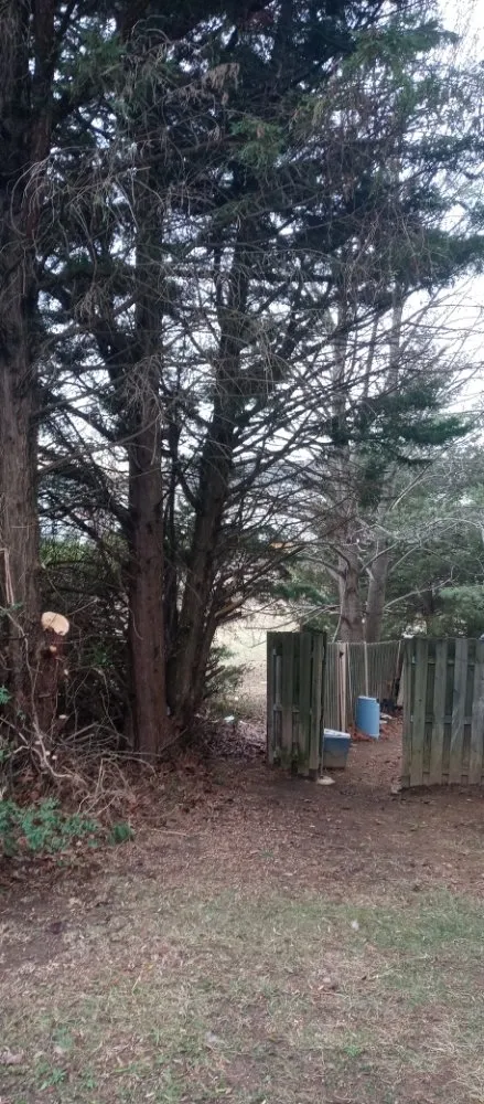 Affordable lawn care service near you across Manassas Park, VA - Skillz Handy Pros