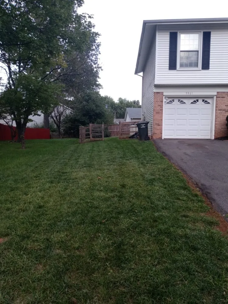 Top-rated yard maintenance in Manassas Park, VA - Skillz Handy Pros