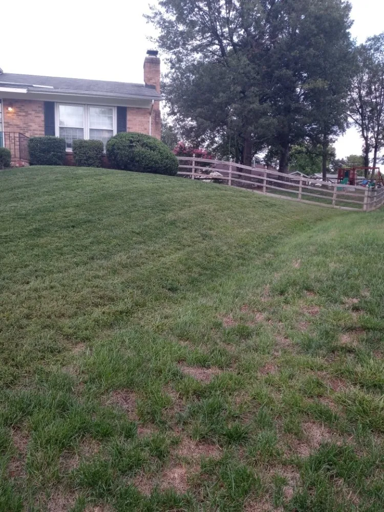 Professional yard maintenance near you in Manassas Park, VA by Skillz Handy Pros