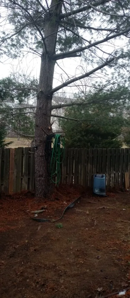 Reliable yard maintenance experts serving Manassas Park, VA - Skillz Handy Pros