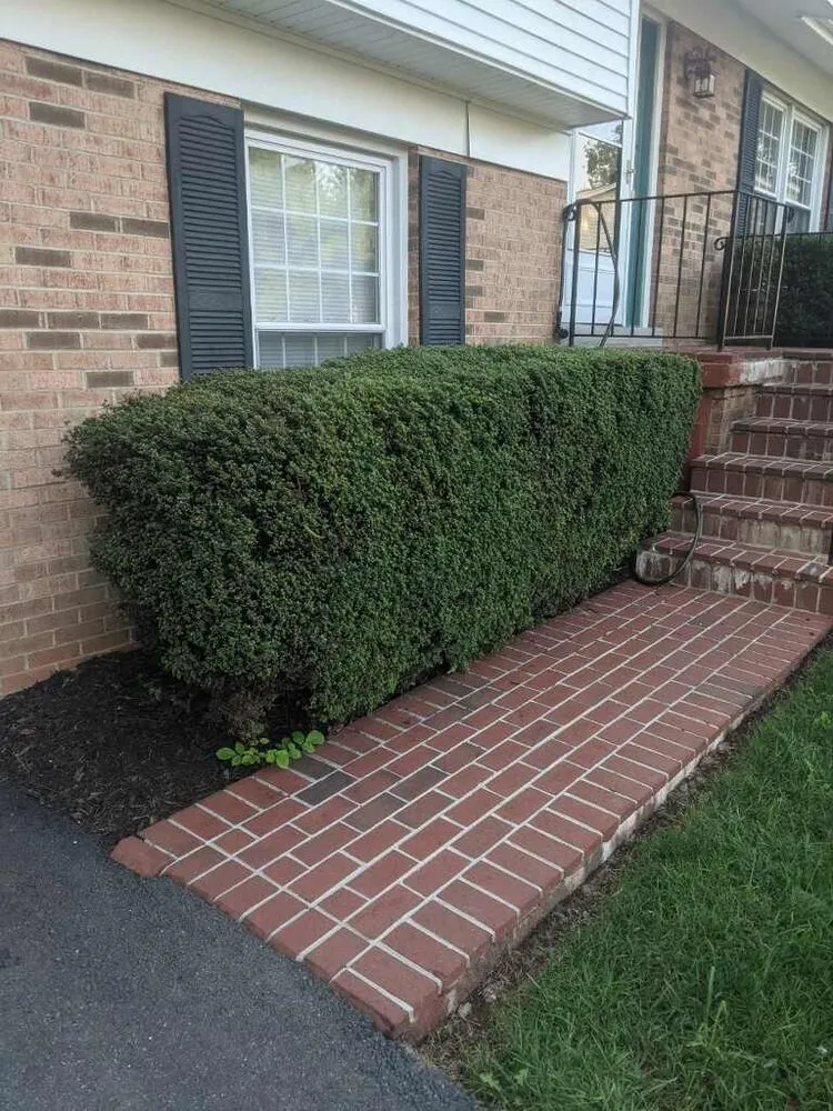 Trusted yard maintenance experts serving Manassas Park, VA - Skillz Handy Pros