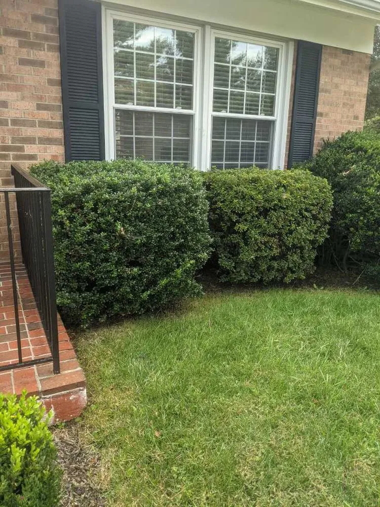 Top-rated outdoor landscaping in Manassas Park, VA - Skillz Handy Pros