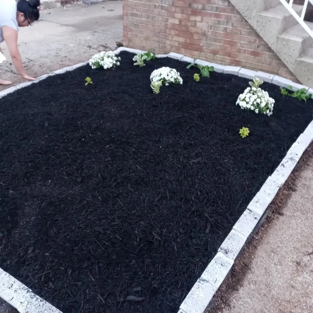 Local yard maintenance for residential properties in Manassas Park, VA by Skillz Handy Pros