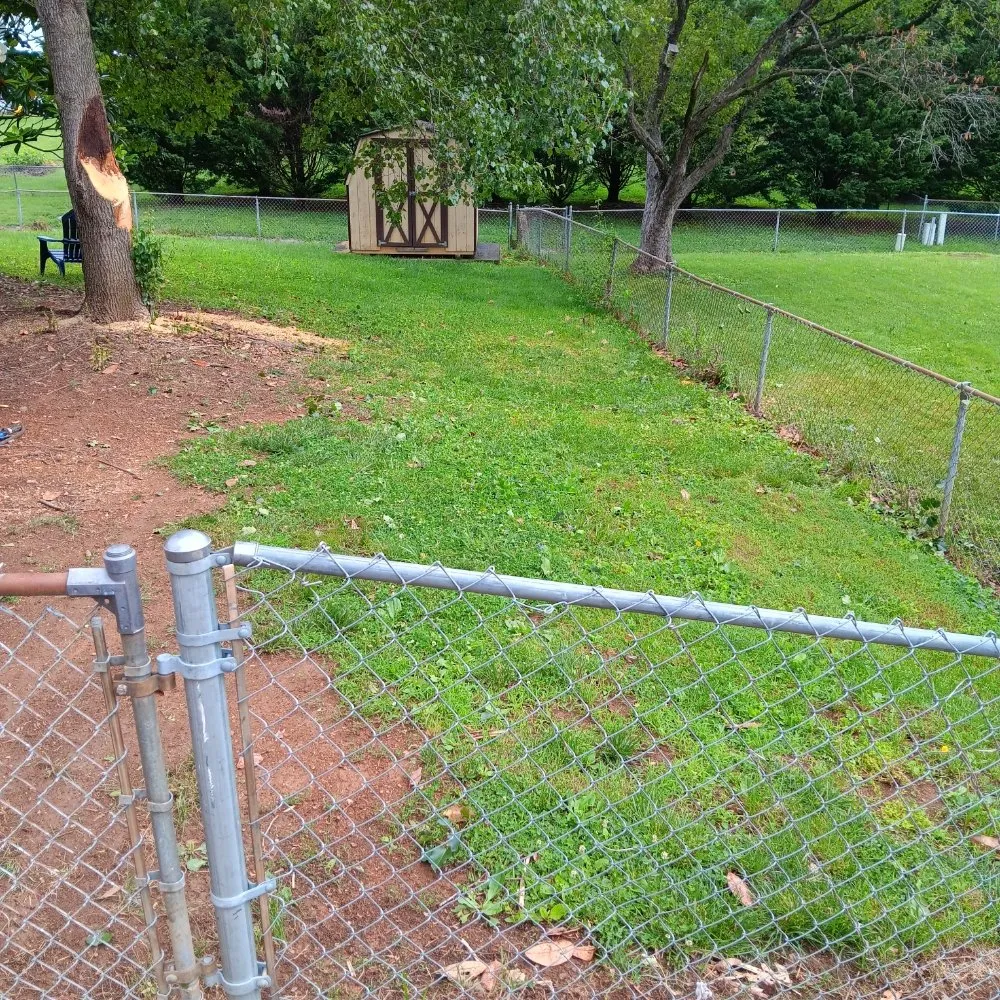 Expert outdoor landscaping for year-round maintenance in Cave Spring, VA by Skillz Total Tree & Landscape