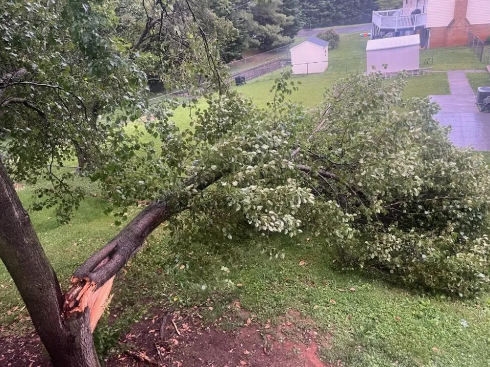 Trusted lawn mowing service in Cave Spring, VA by Skillz Total Tree & Landscape