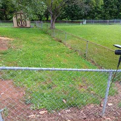 Skillz Total Tree & Landscape