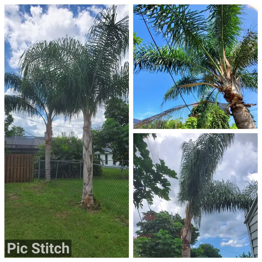 Trusted outdoor landscaping experts serving Port St. Lucie, FL - Skim & Trim