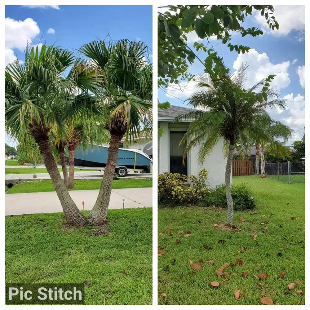 Professional lawn mowing service experts serving Port St. Lucie, FL - Skim & Trim