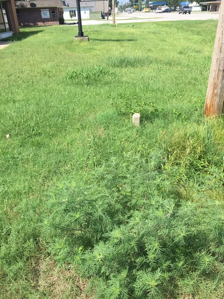 Top-rated lawn mowing service for residential properties across Commerce, OK - Skin-N-Yards