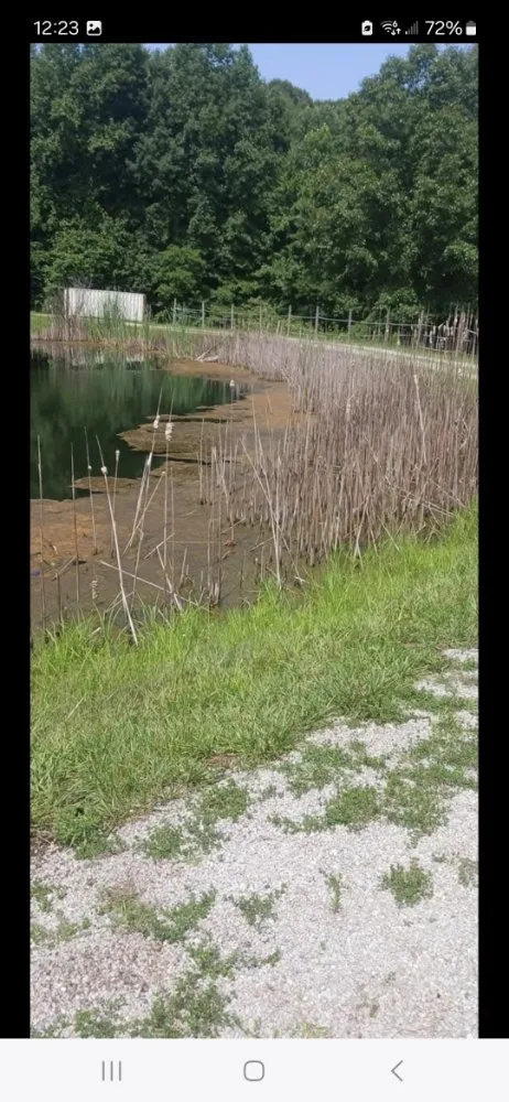 Affordable landscaping services in Cedar Grove, IN by Skinner Land Management