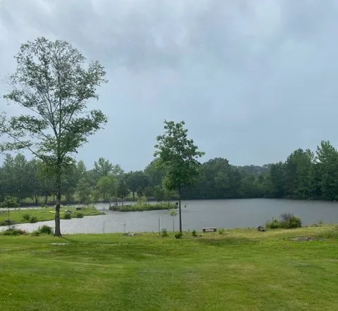 Reliable yard maintenance near you across Germantown, TN - Skinner Landscaping And Lawn Services