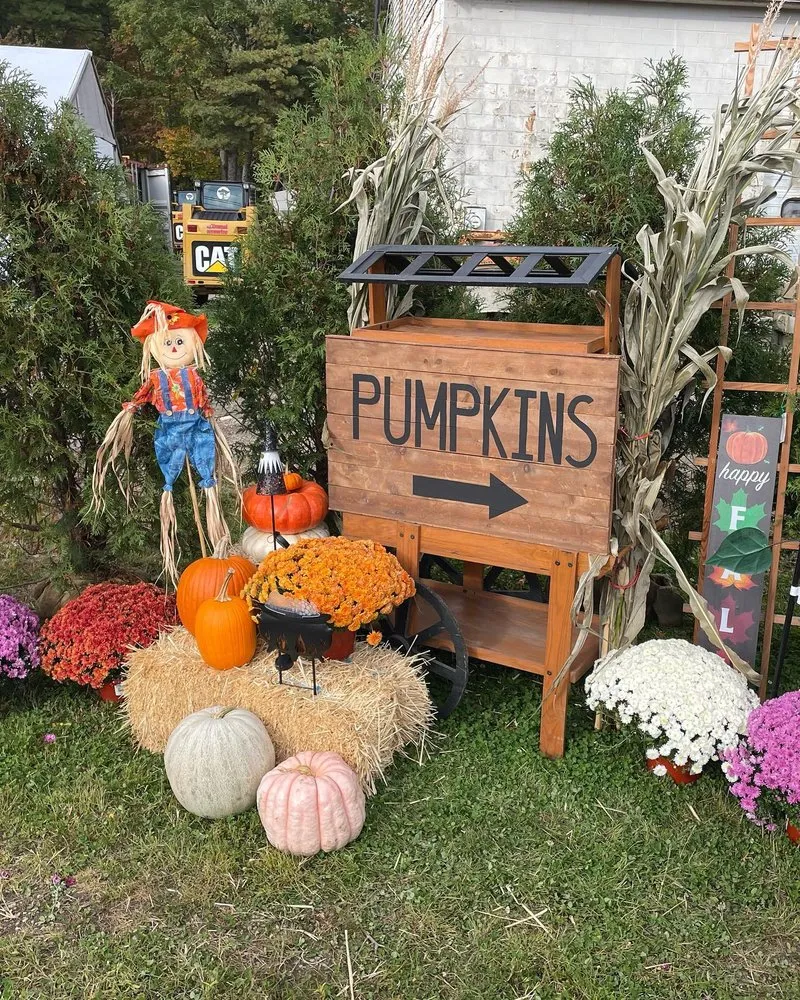 Reliable yard cleanup service for outdoor upgrades in Weymouth, MA by Skinner Overlook Landscape & Design