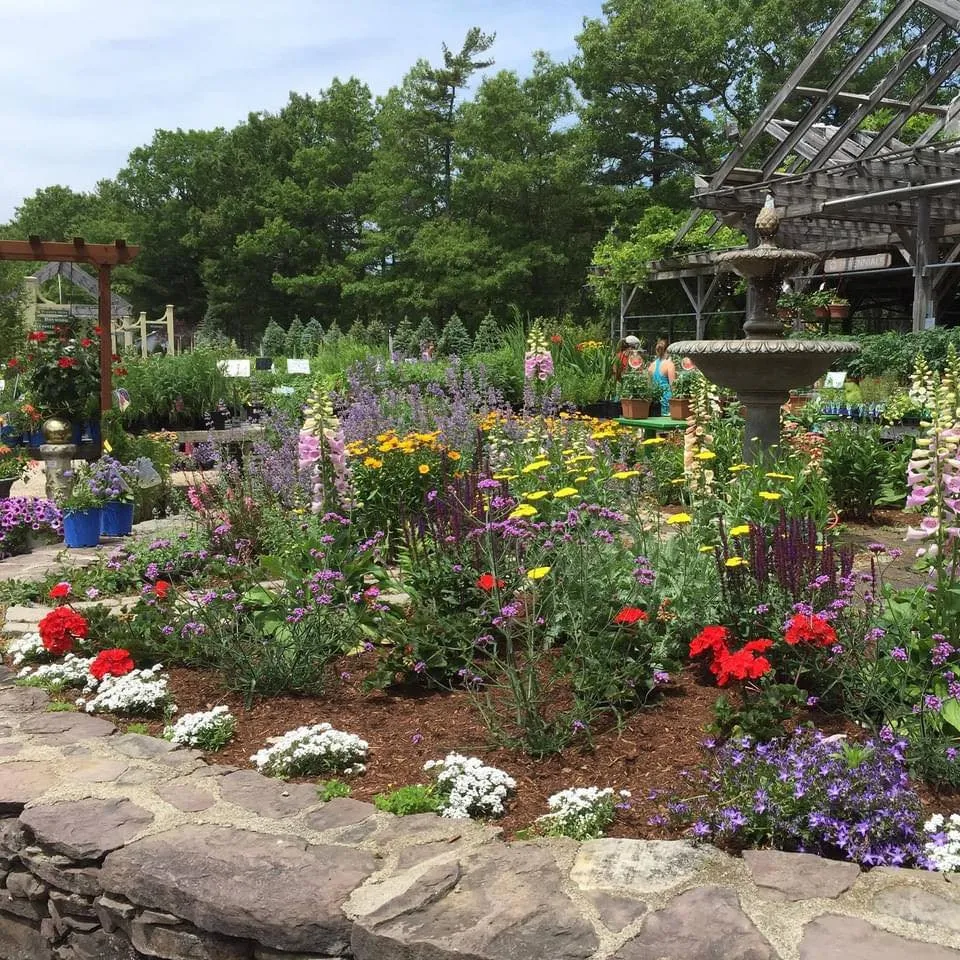 Affordable landscape installation experts serving Weymouth, MA - Skinner Overlook Landscape & Design