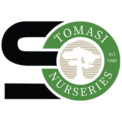 Reliable landscape design experts serving Weymouth, MA - Skinner Overlook Landscape and Design