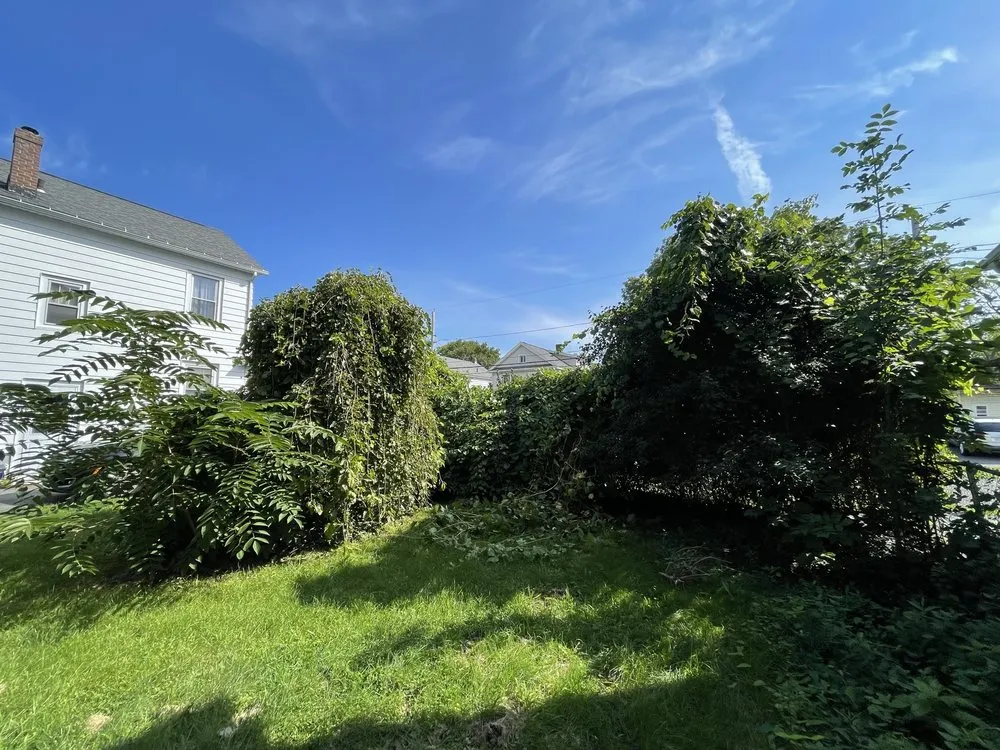 Professional lawn mowing service experts serving Syracuse, NY - Skinner Professional Services