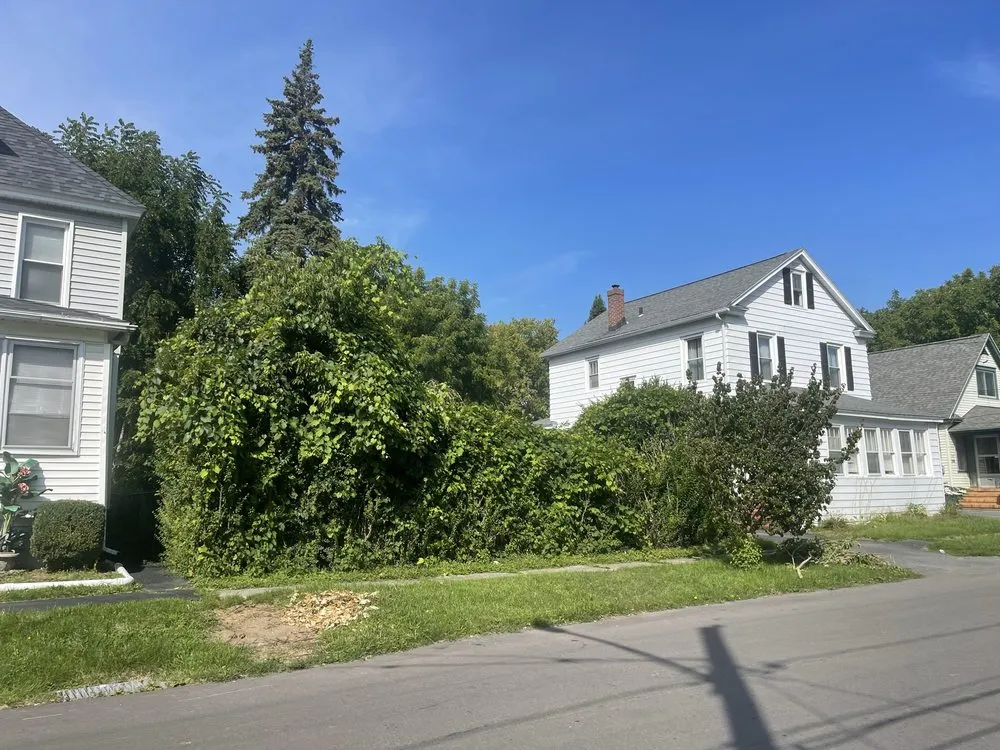 Expert yard maintenance for homes in Syracuse, NY by Skinner Professional Services