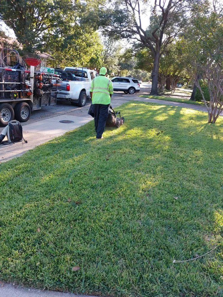 Trusted lawn care service experts serving Cedar Hill, TX - Skinners Lawn Care Management