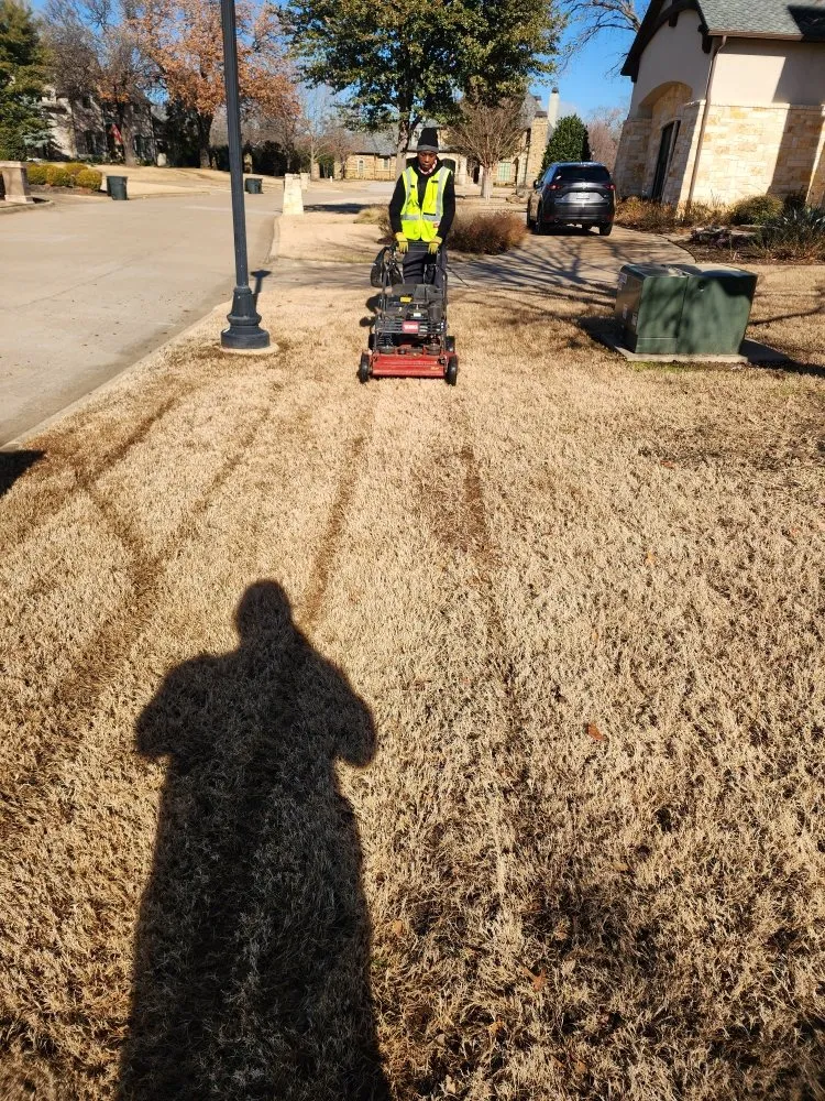 Professional landscape design in Cedar Hill, TX - Skinners Lawn Care Management