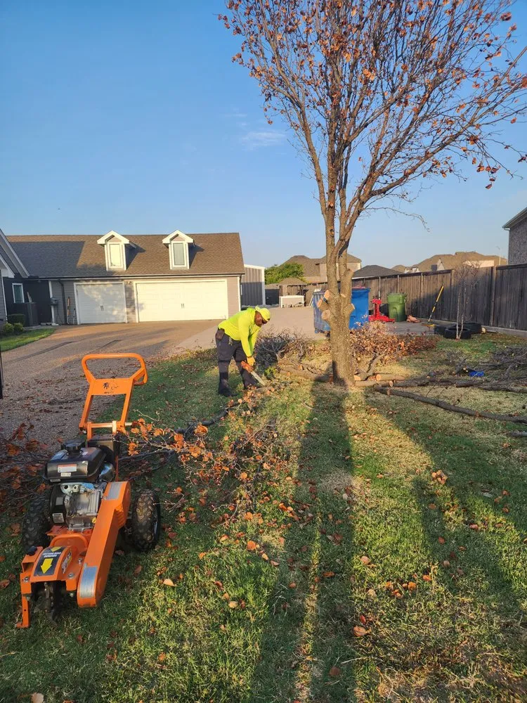 Local landscape installation in Cedar Hill, TX - Skinners Lawn Care Management